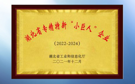 评定为湖北省专精特新“小巨人”企业