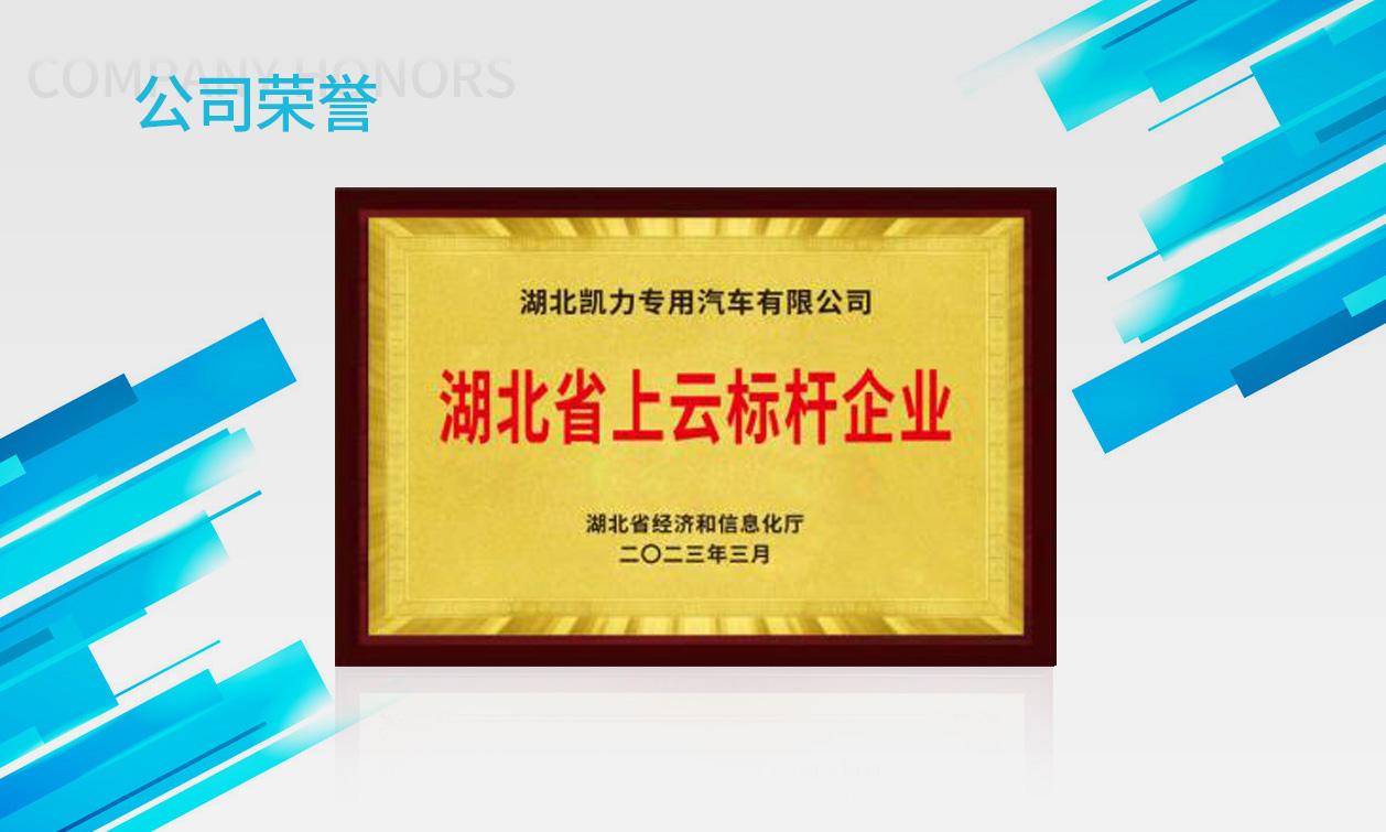 湖北省云上标杆企业